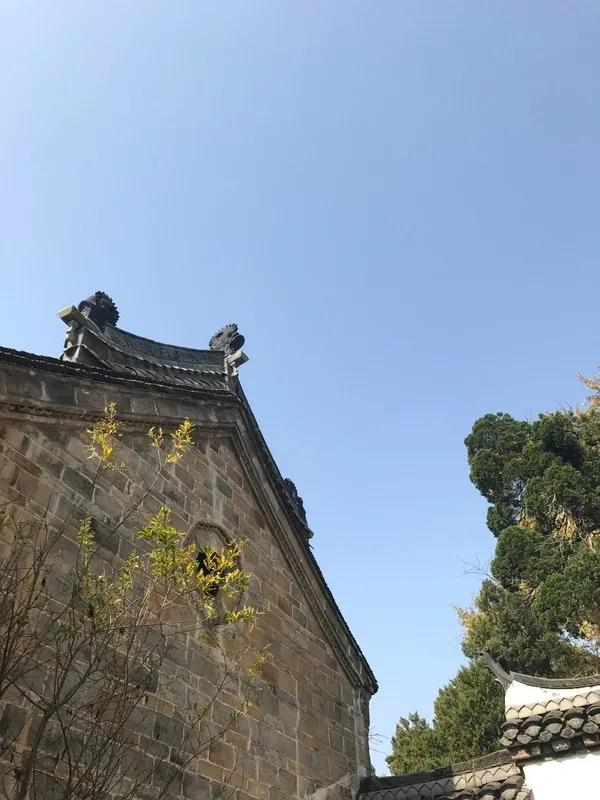 金寨为爱殉情,金寨牺牲了多少人