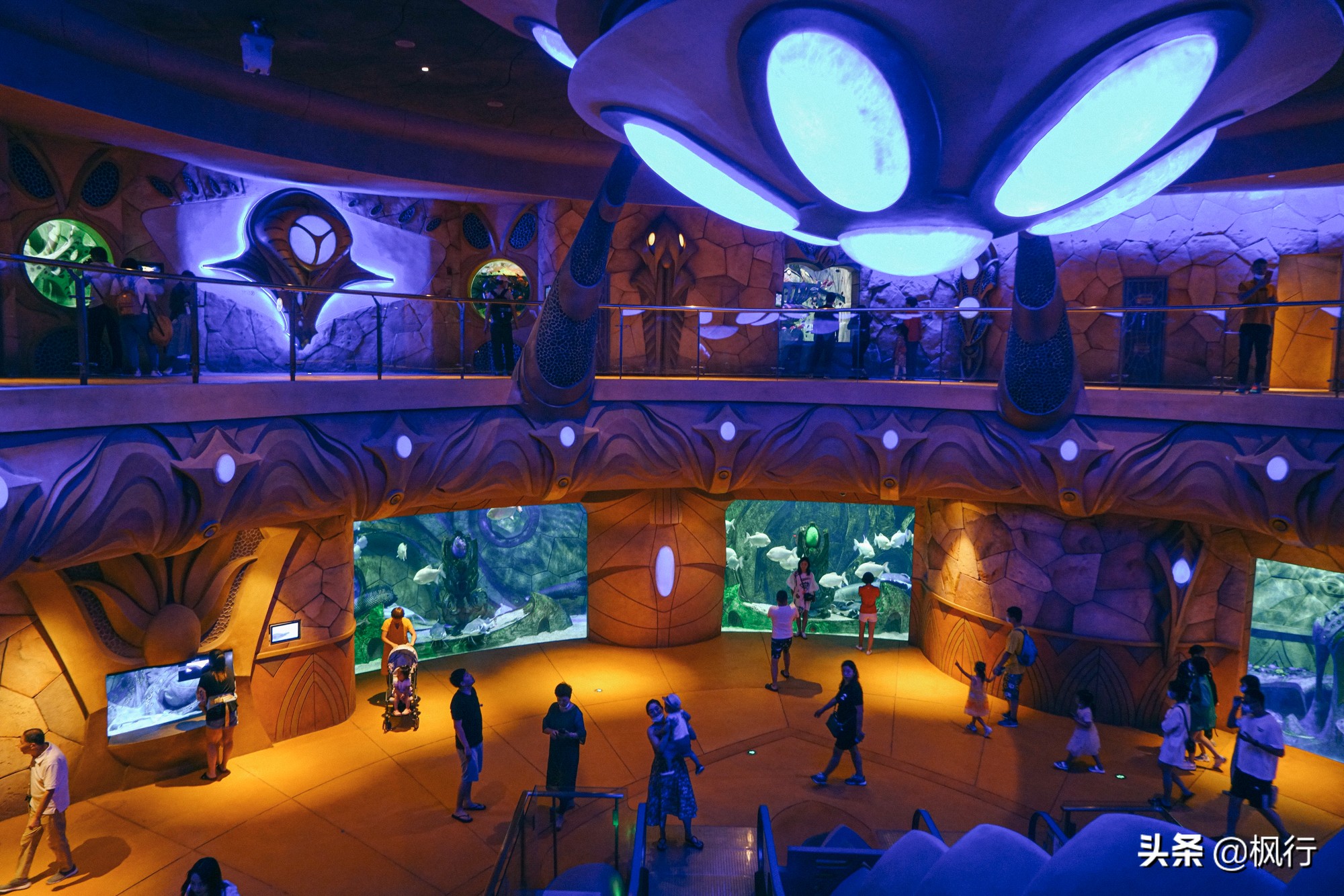 被猴子袭击，门票昂贵，拍照被轰，被我全程吐槽的三亚到底值不值