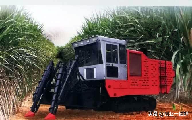 农业新科技专利技术,农业科学专利发明