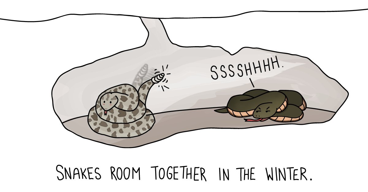 世界上真的存在巨蟒蛇吗,比500米巨蟒还厉害的蛇