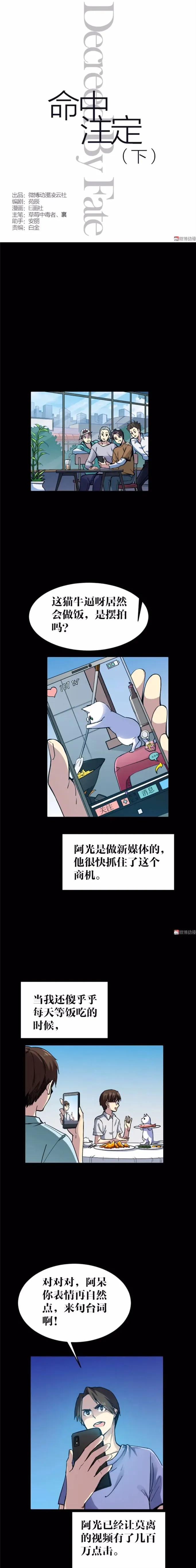 猫咪拟人化漫画,天秤座漫画猫咪