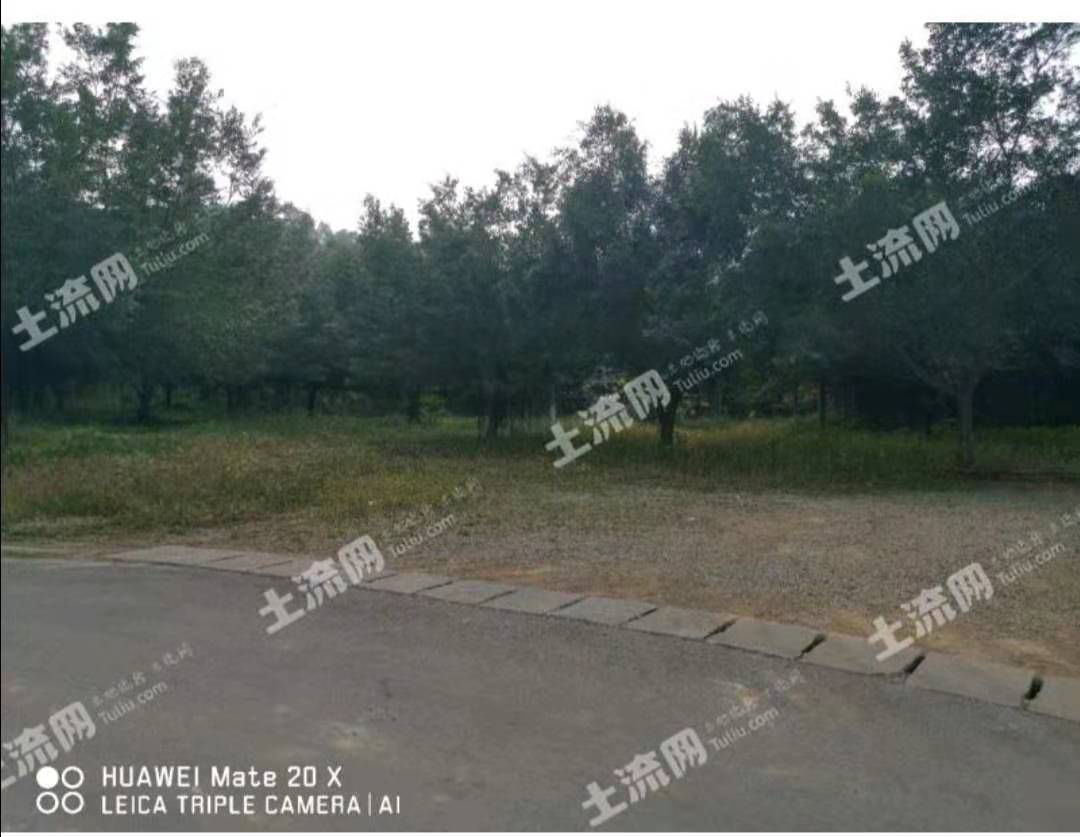 60亩停车场要出租，为什么价格如此便宜，跟随土地哥来一探究竟