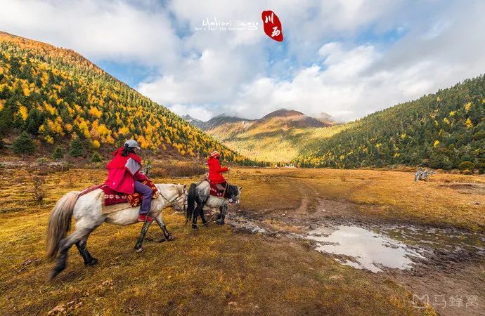 九寨沟什么最美,川西九寨沟最好的风景