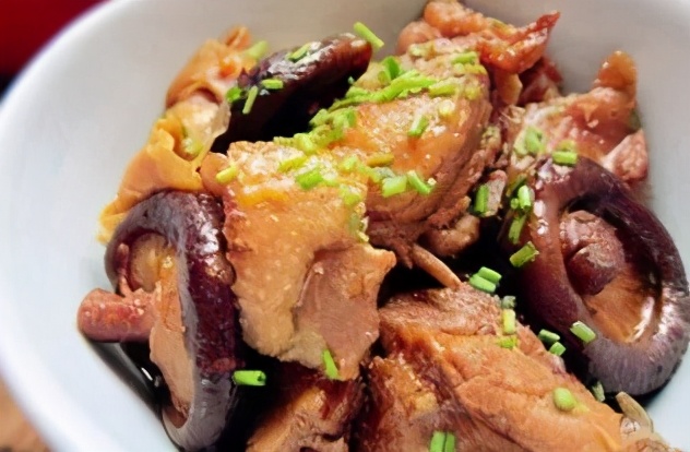 九龙坡重点小学和中学对应的片区,九龙坡区森林小学对口中学