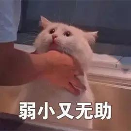 晖货清单|提升气色？我有一点成熟的小建议