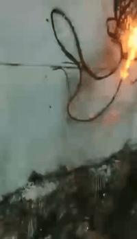 老虎：这是我准备养大吃的，你来凑什么热闹