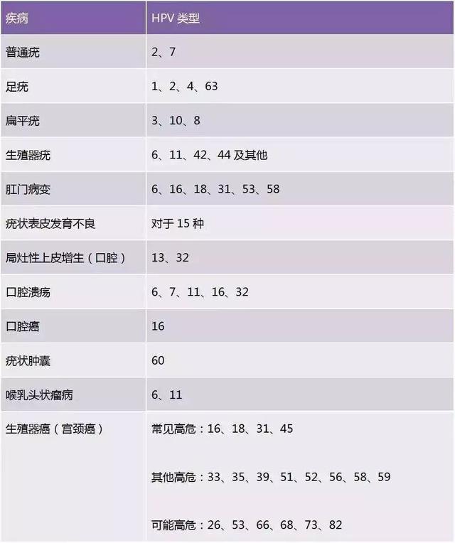 【承德市妇幼儿童医院快讯】到底查TCT还是HPV?快速读懂“宫颈癌”筛查报告!(3)