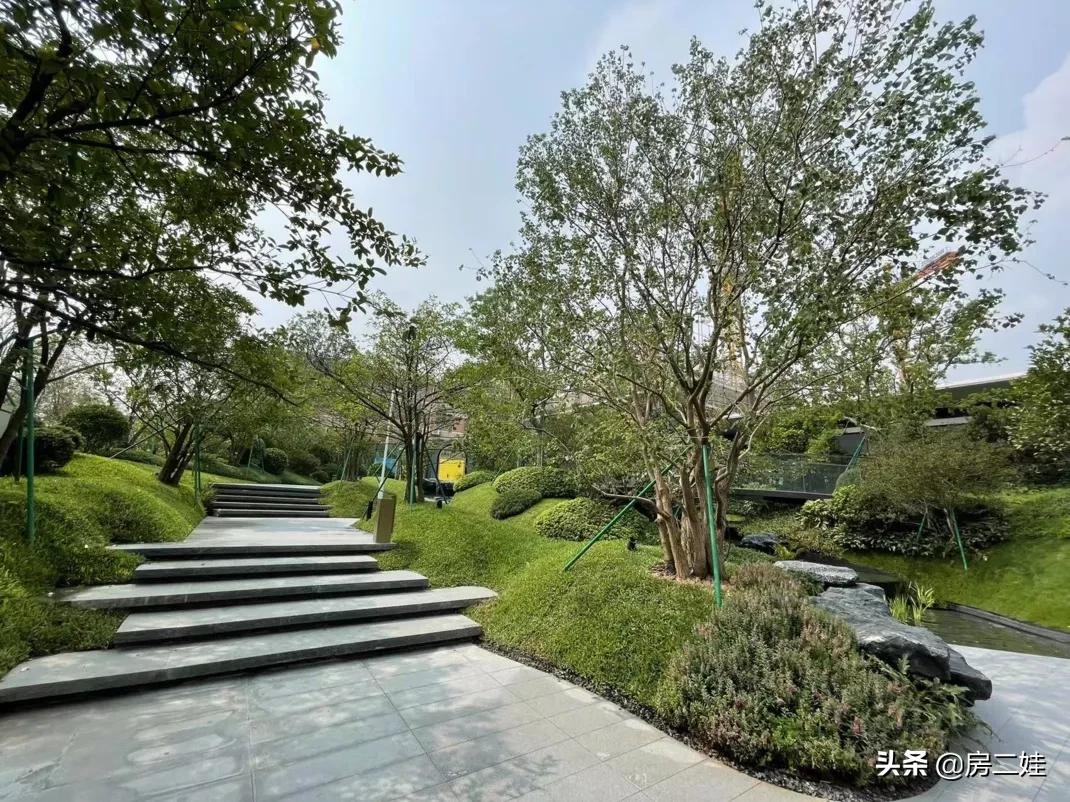 房二娃：MMP，这房子，我不卖了