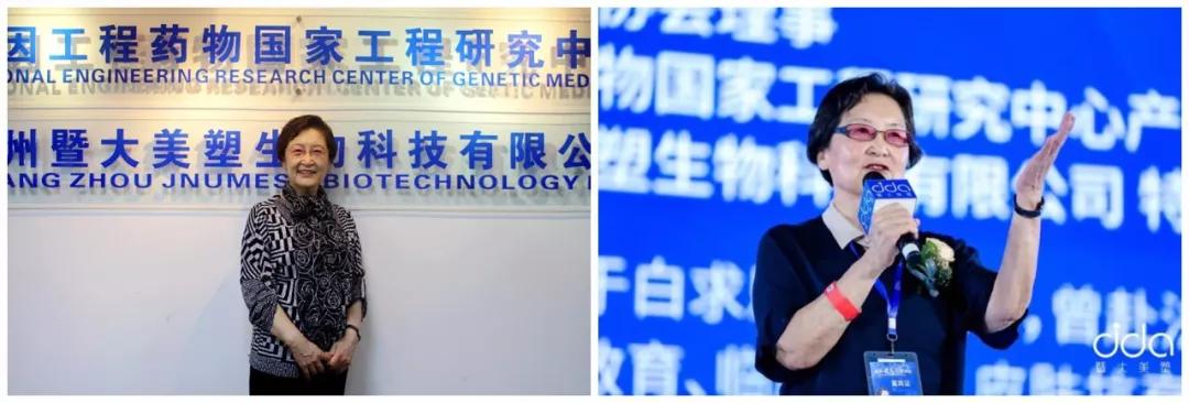 tat品牌合作,tat品牌介绍