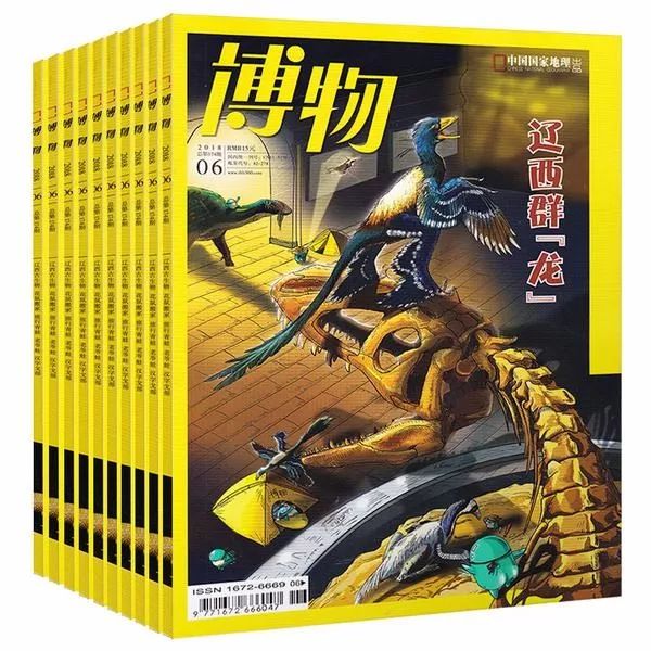 班主任推荐订的杂志，有些真是“一言难尽”|儿童杂志亲测