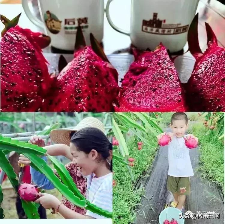 湄洲岛好玩还是九龙谷,去莆田先到九龙谷还是湄洲岛