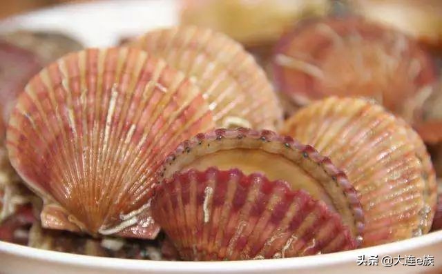 大连扇贝一年四季都有吗,大连的小扇贝叫什么