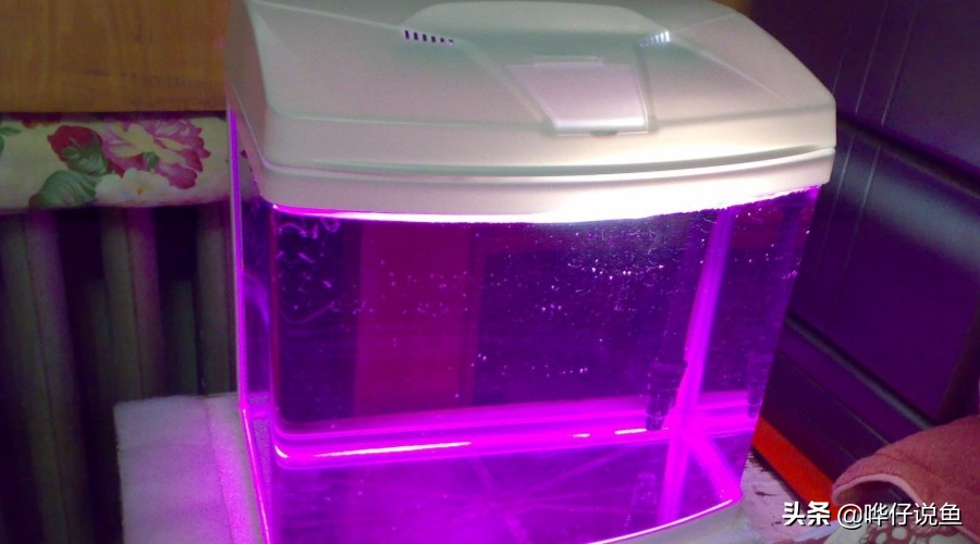 如何对鱼缸进行消毒,100升水的鱼缸用多少高锰酸钾消毒