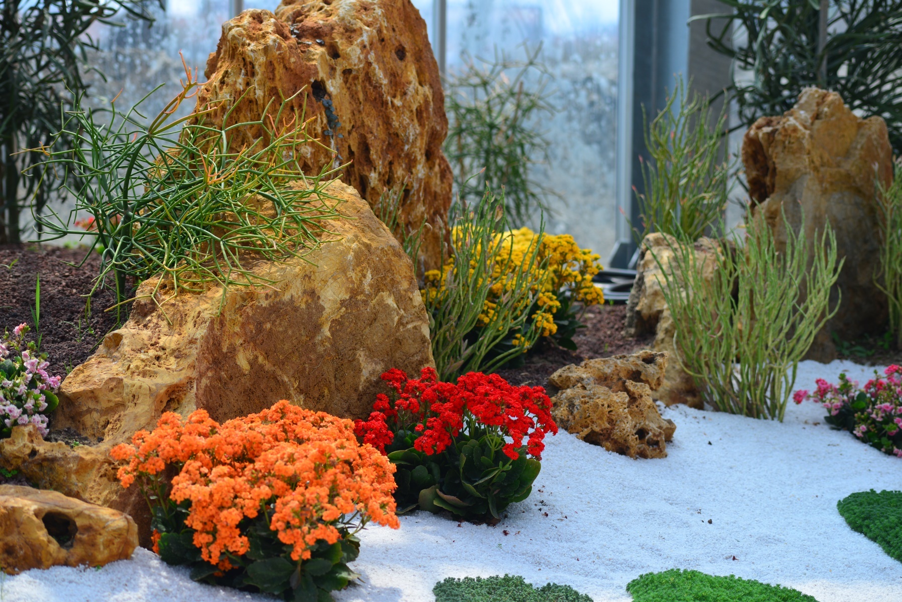 南通绿博园室内,南通绿博园风景