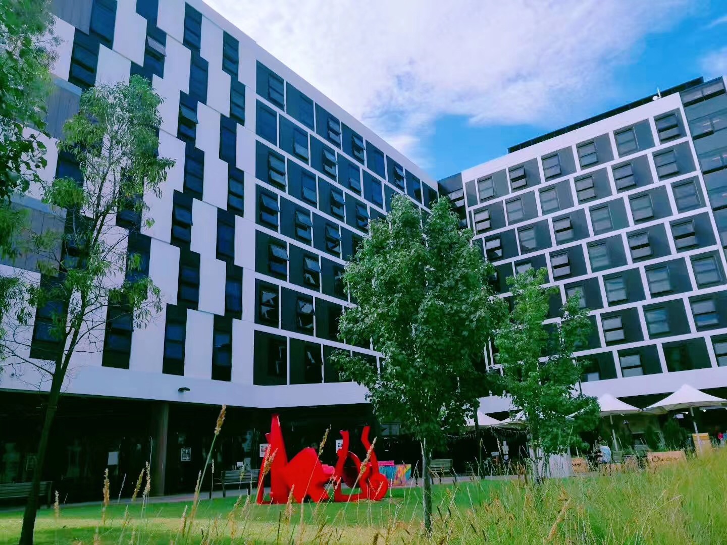 堪培拉大学毕业,堪培拉大学康复硕士专业