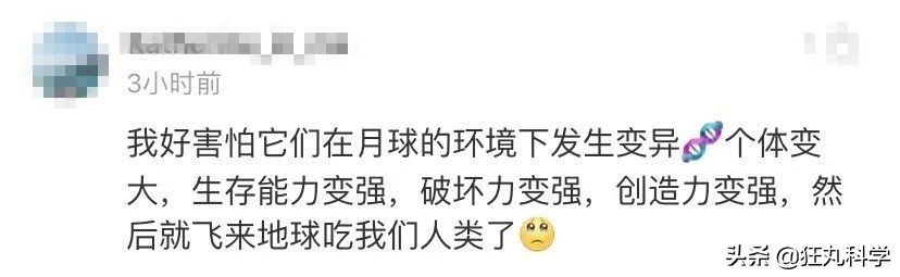 地球最强生物水熊坠落月球或幸存,地球最强的生物降临月球