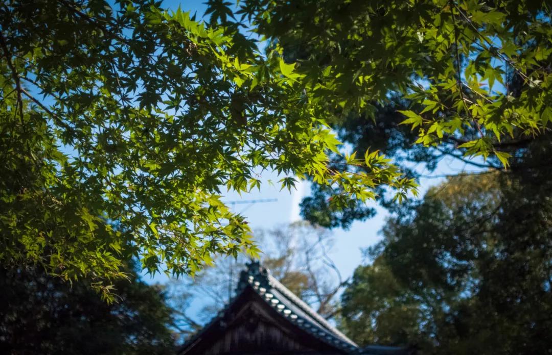 长兴岛君澜度假酒店,长兴太湖君澜度假