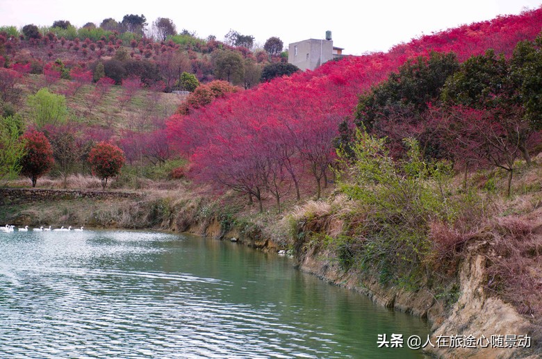 杭州余杭旅游景点大全排名榜,余杭区旅游景点