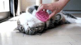 淘宝神器推荐,淘宝懒人软件多少钱