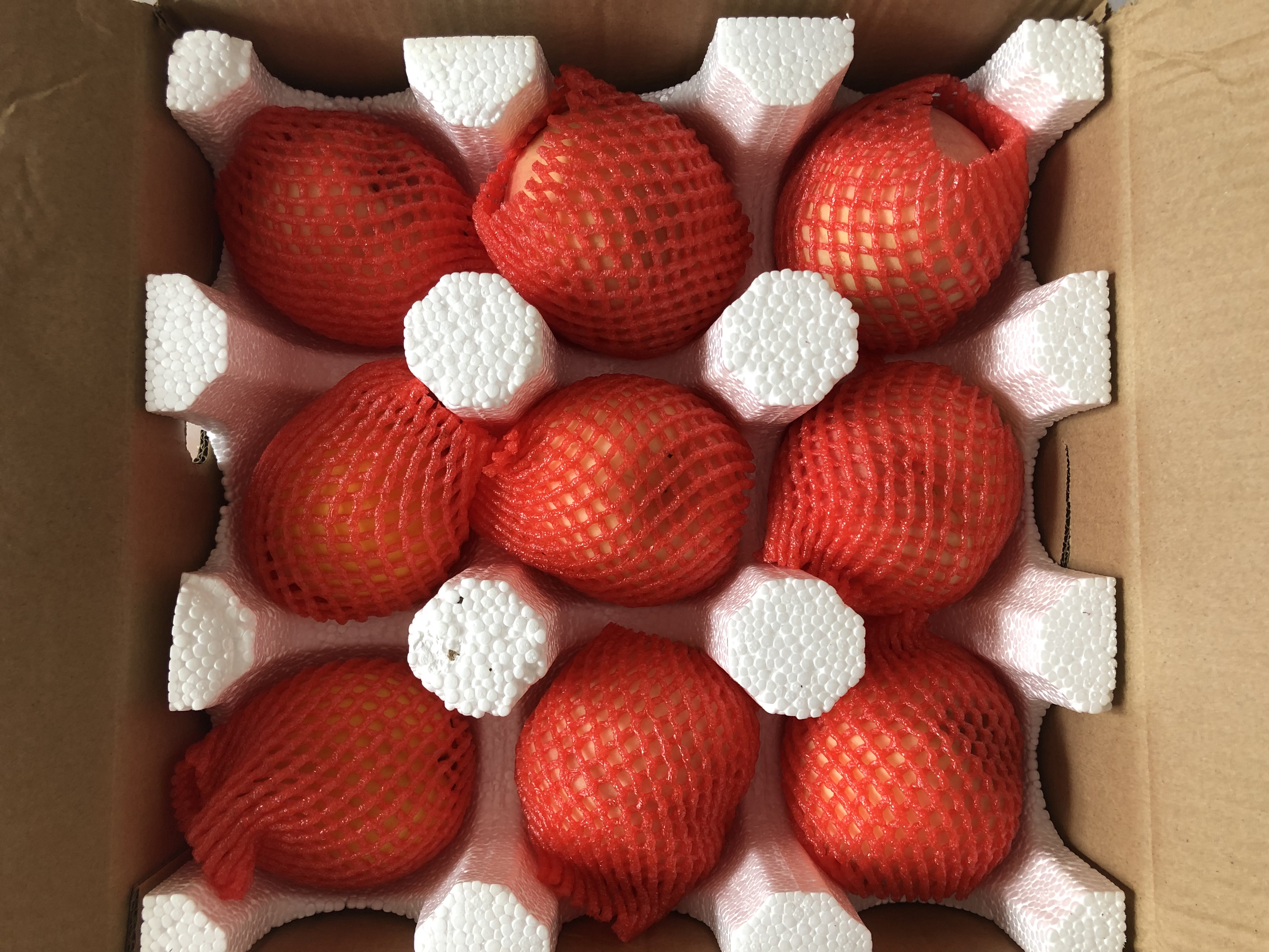 “黄色”诱惑，至美味觉—黄桃（1）