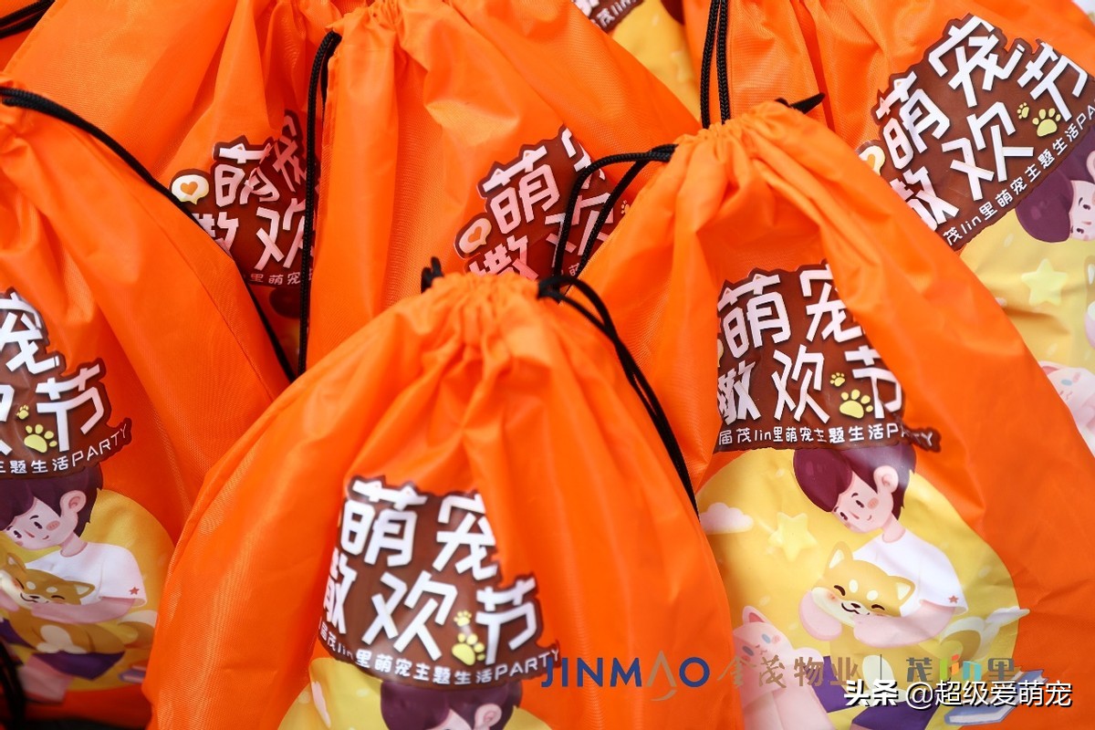 金茂广场萌宠生活节,金茂物业活动