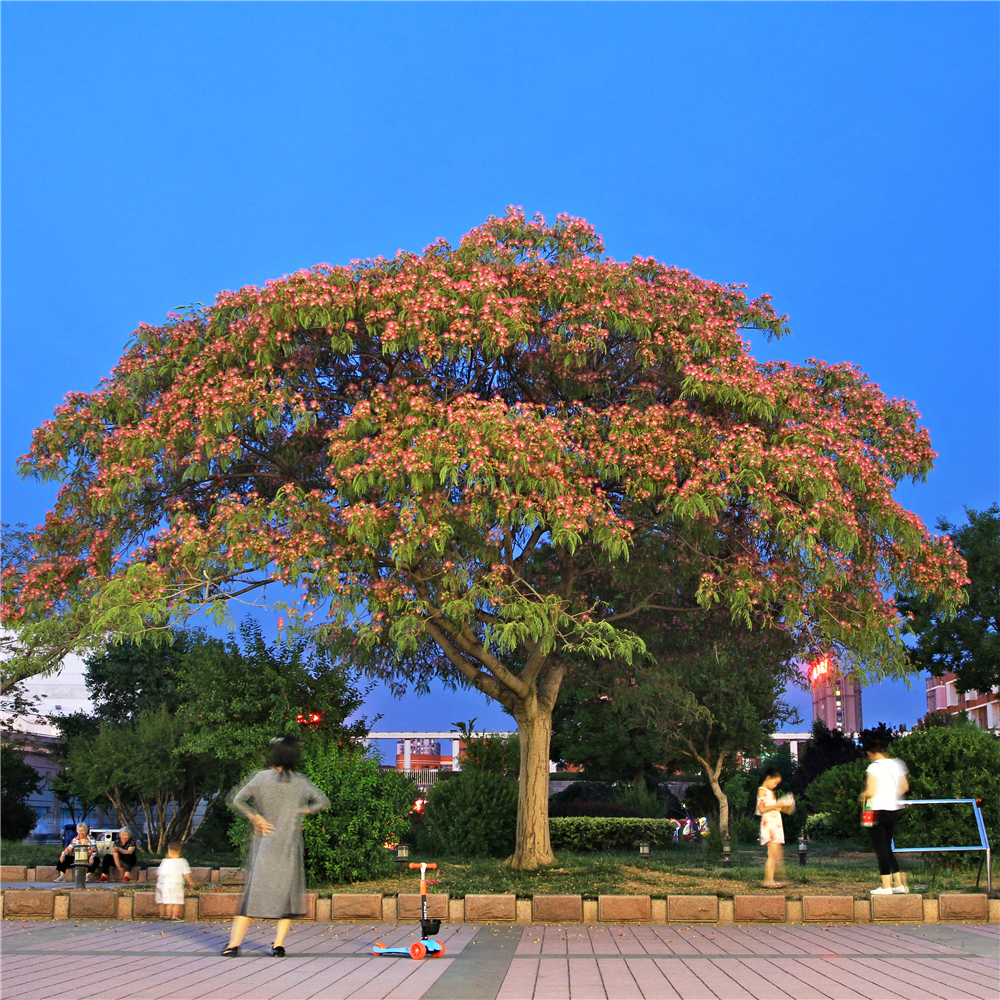 德州东北城历史,德州城市发展趋势