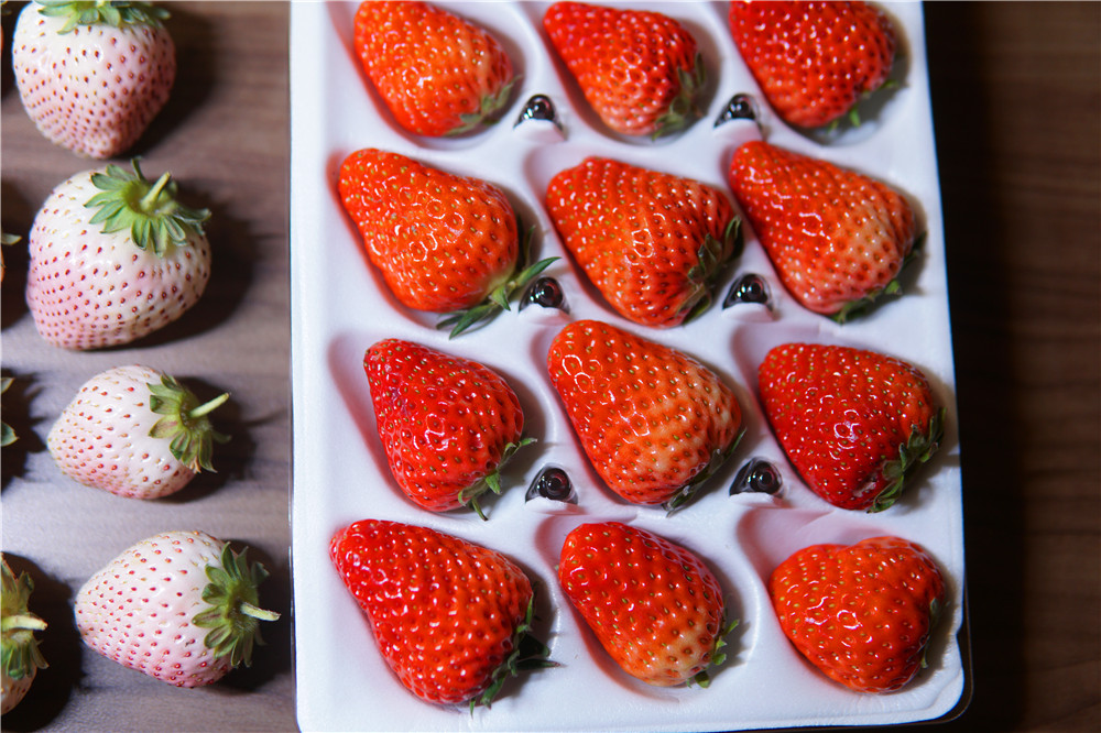 如何在网上买到真草莓,怎么在网上买正宗丹东草莓