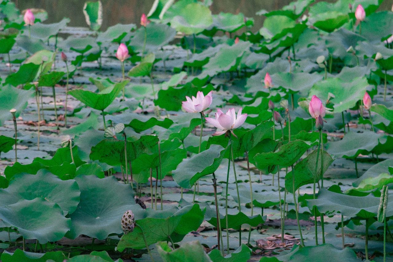 深圳十个小众打卡地,在深圳这些地方既小众又值得打卡