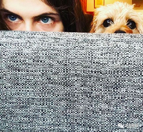 被骂上热搜的小三,骂绿茶小三的视频