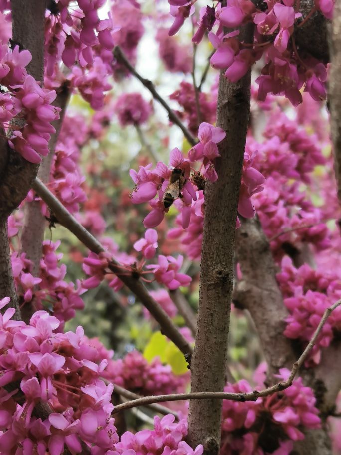 济南地铁出行哪里好玩,济南地铁2号线宜家是哪一站