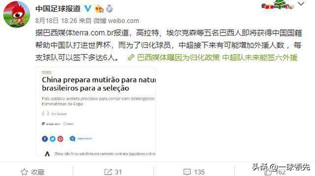 中国目前归化球员和计划归化球员,外国评论中国归化球员