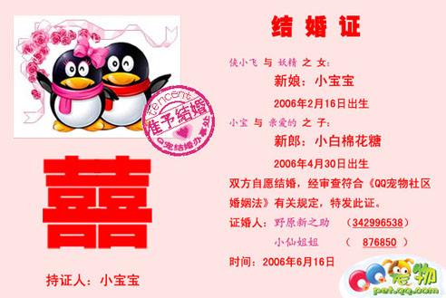 QQ宠物停止运营：主人，永远拜拜了