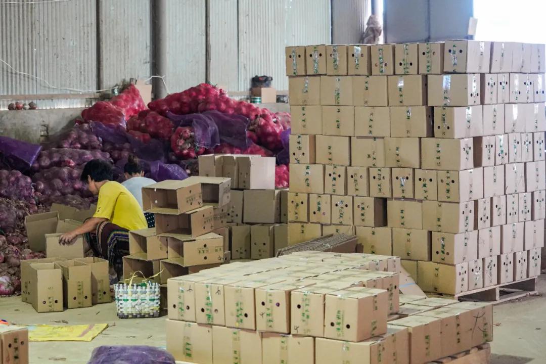 50斤洋葱能卖多少钱,洋葱最便宜多少钱一斤