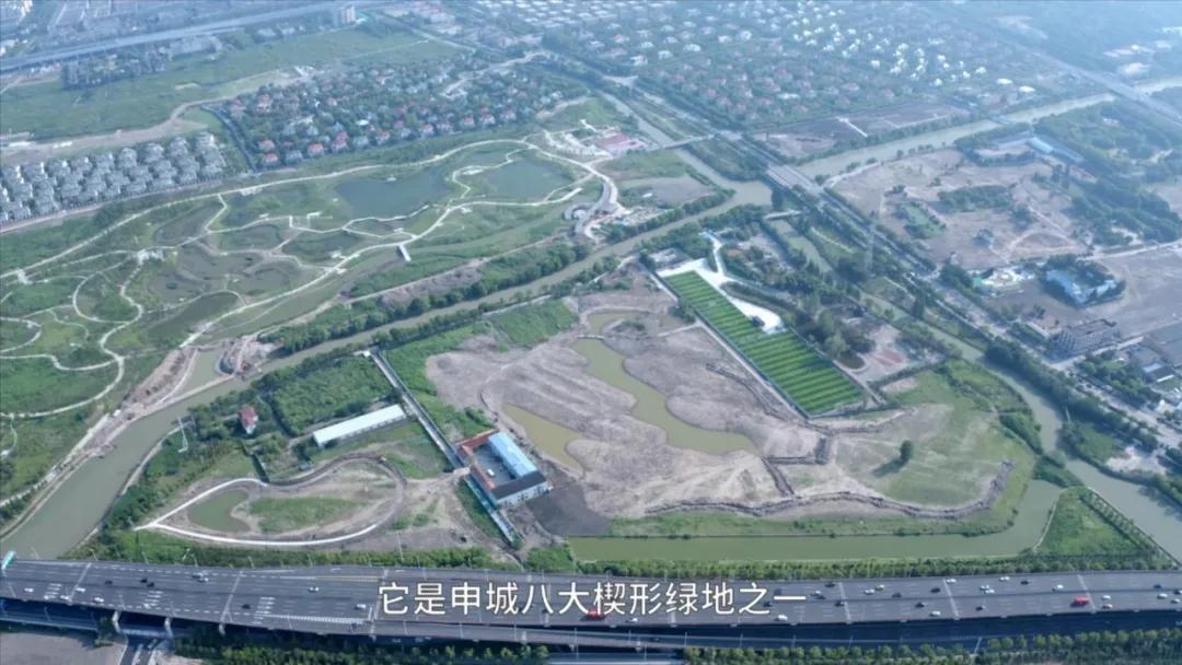 浦东发展金桥,上海金桥发展前途