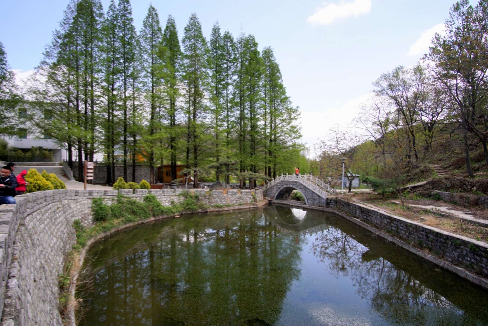 济南药山森林公园门票价格,济南药乡森林公园免费吗