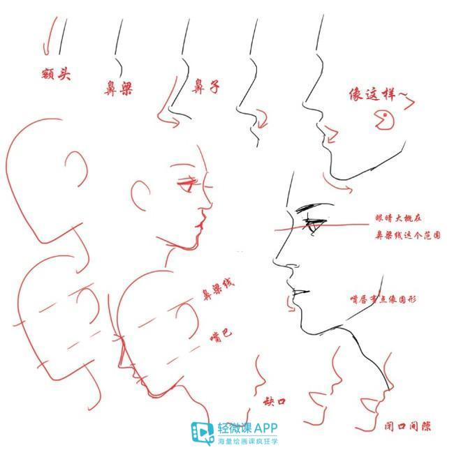 鼻子怎么画显人中短,如何画鼻子各个角度