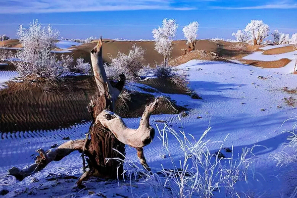 巴音布鲁克镇冬天的生活,巴音郭楞自治州和静县冬天