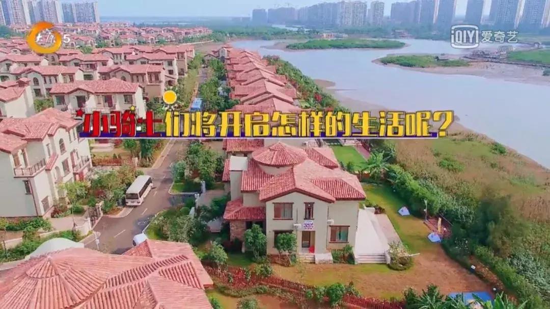 《小骑手!冲啊》|可爱萌娃变身激燃赛车手,成长大戏拉开大幕