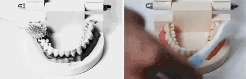 去除牙黄口臭牙膏实验,酵素牙膏去烟渍美白牙结石