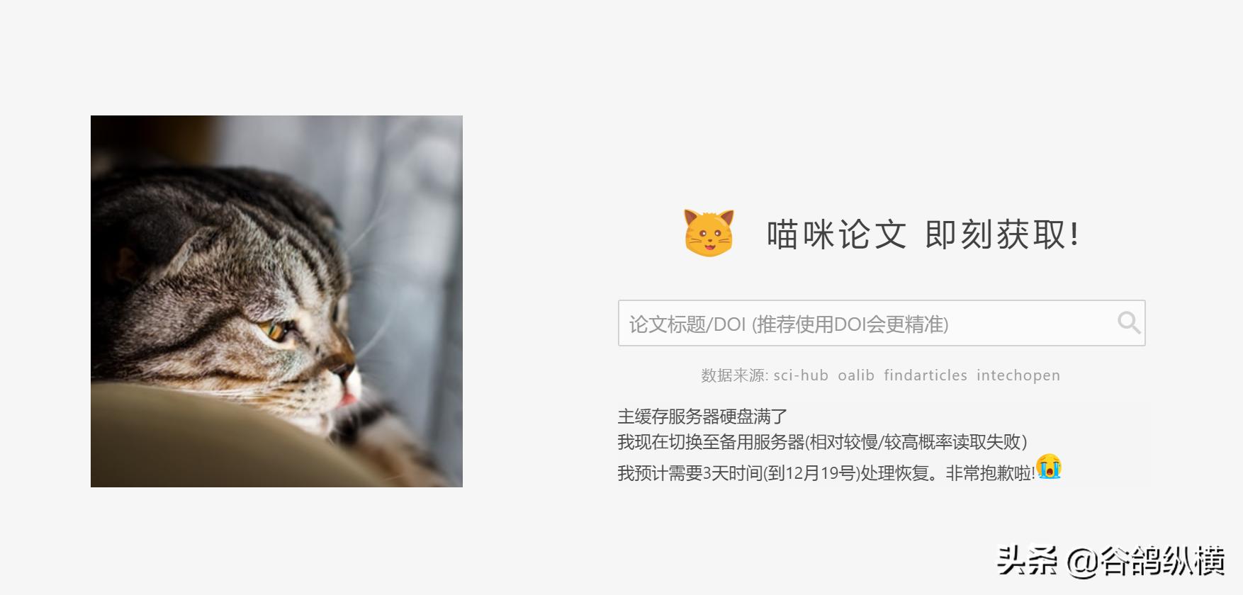 找论文一般在哪里找,在哪里找论文好点