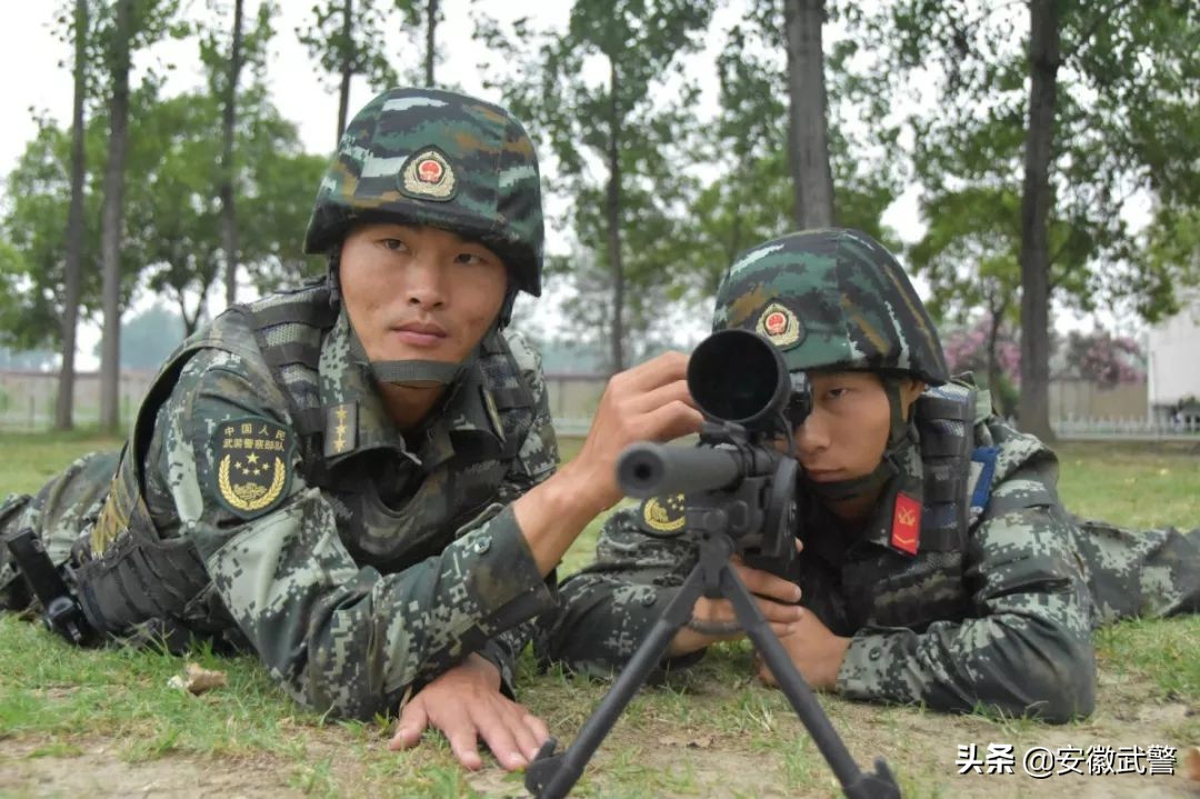犟人的视频,犟人