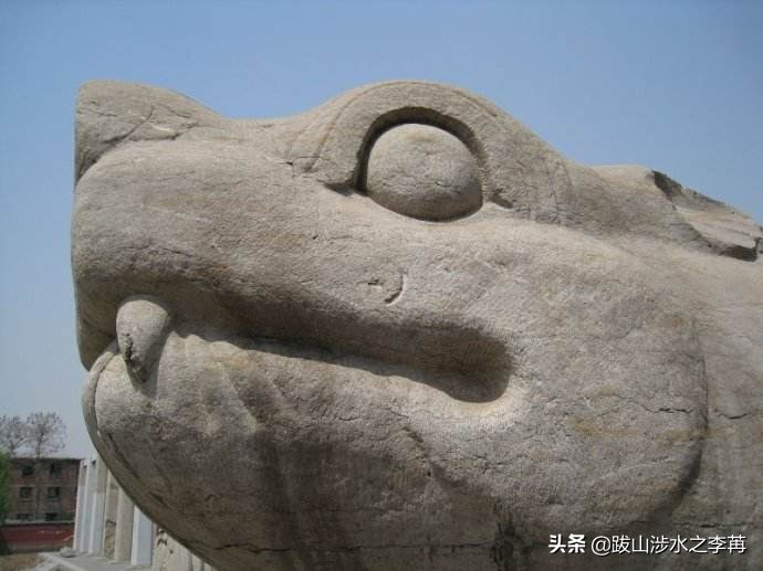 正定开元寺赑屃碑,开元寺赑屃出土视频