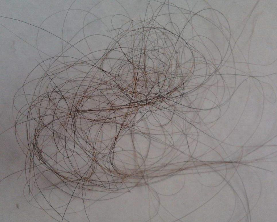 室内头发多到清不尽？教你一招，3秒就能解决，生活小妙招学起来