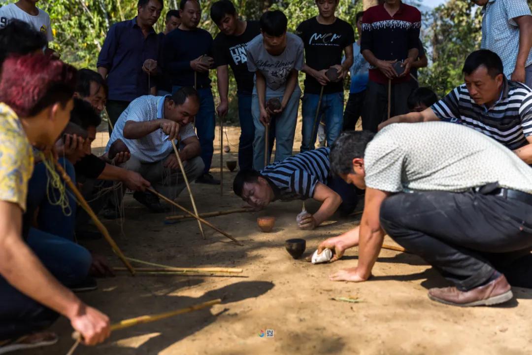 这是一个充满生机的公园怎么说,这是一个充满生机的国度朗诵