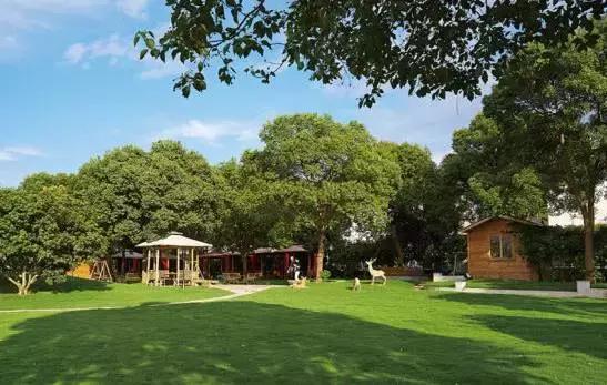 宁波周末带娃玩的好去处,宁波旅游度假山庄