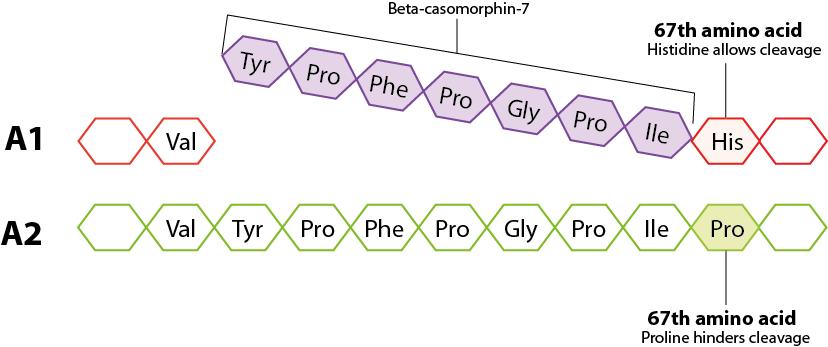 深扒4款a2奶粉,深扒a2奶粉