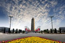 介绍自己的家乡泾阳,推荐我的家乡咸阳