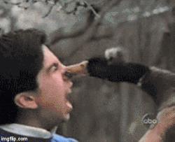 加拿大滑铁卢大学商科怎么样,滑铁卢大学在加拿大哪个城市