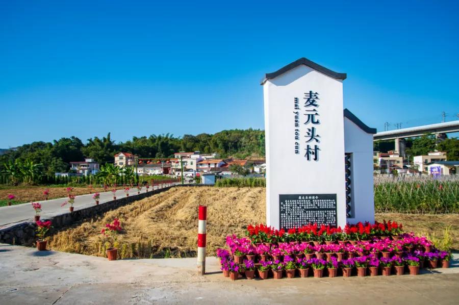 楹﹀厓鎽勫奖,楹﹀厓瑙嗛