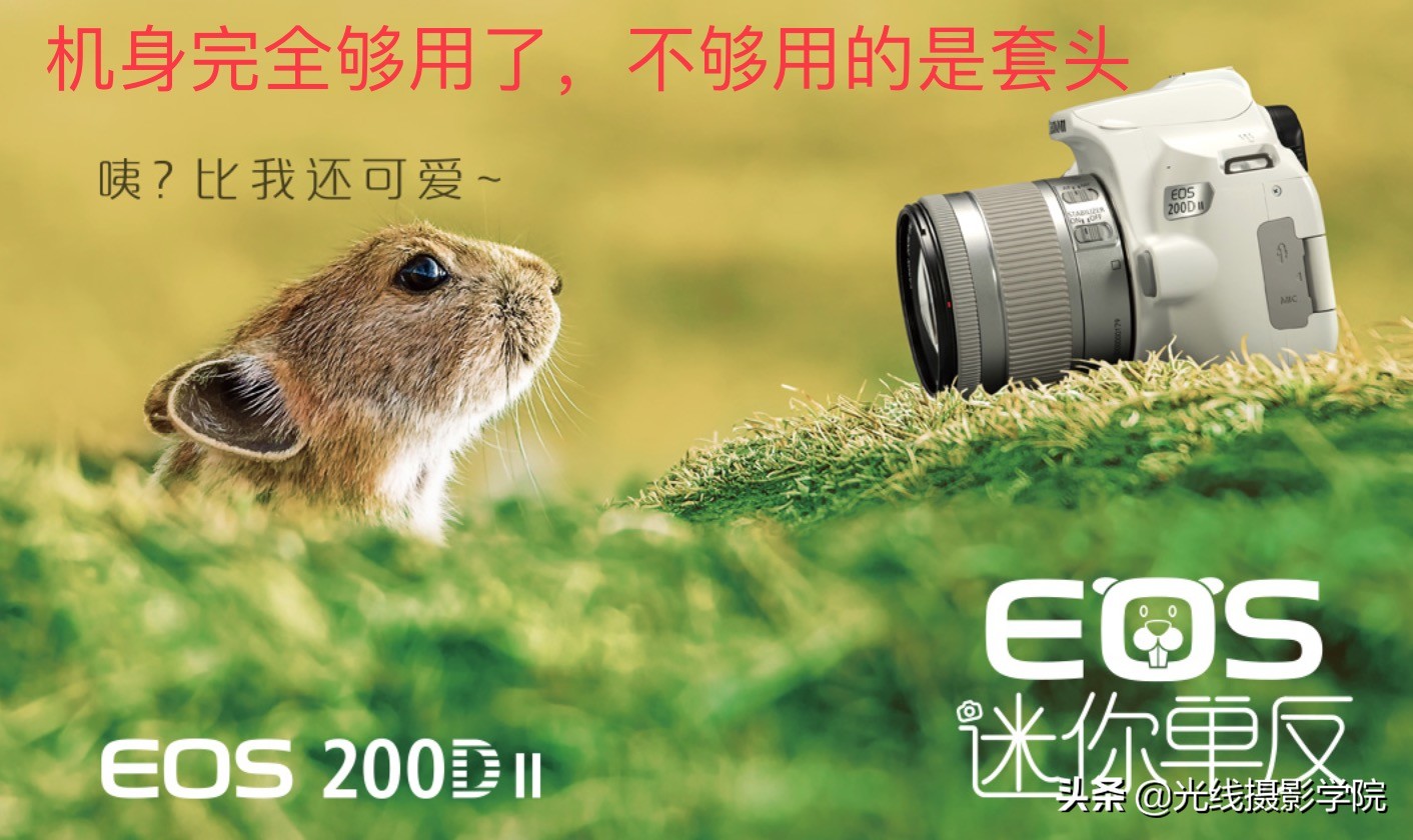 尼康放弃中低端，佳能反其道行之，入门机身配好镜头，这样好吗？